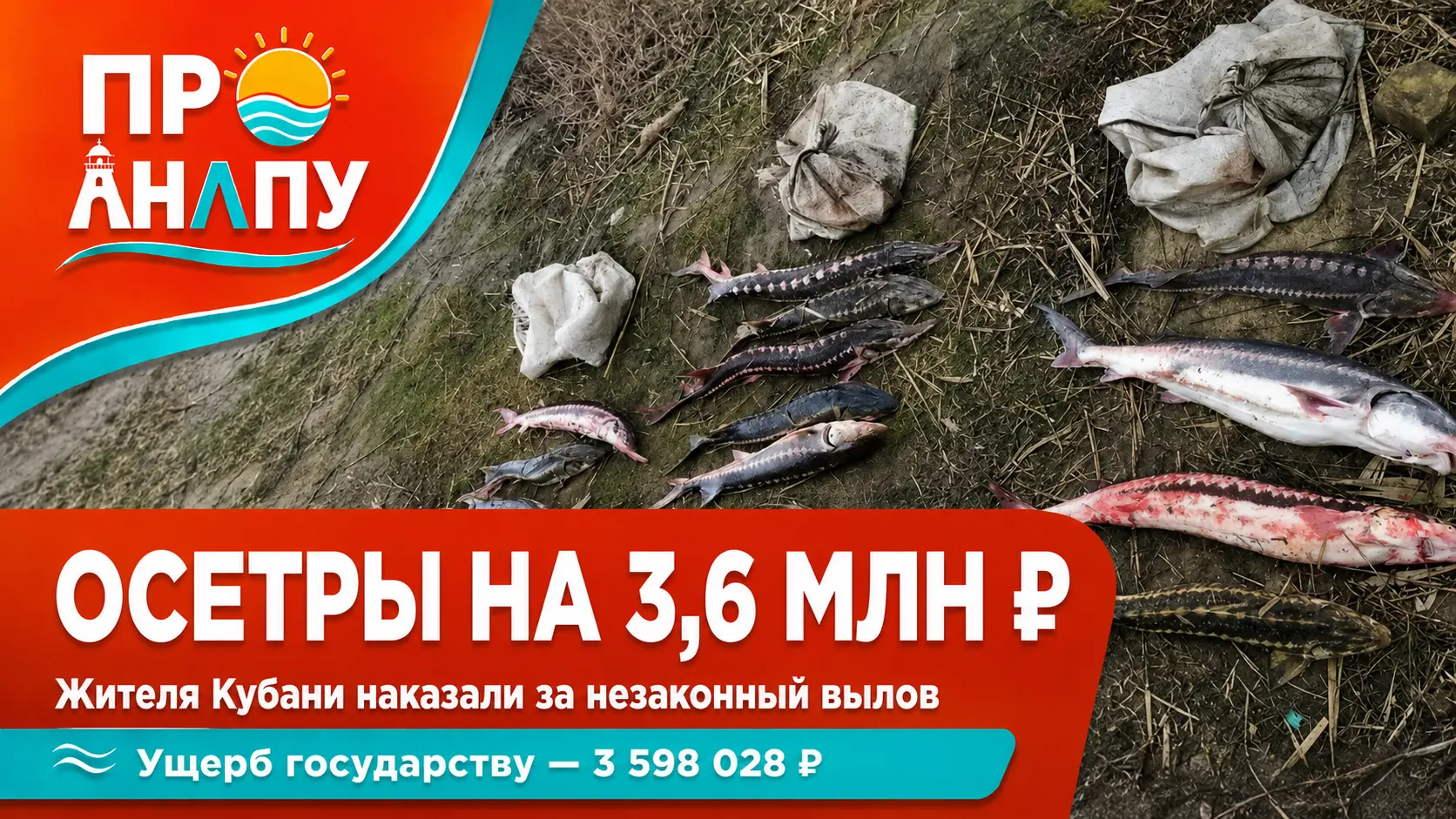 Рыбалка в Азовском море обошлась жителю Кубани почти в 3,6 млн рублей