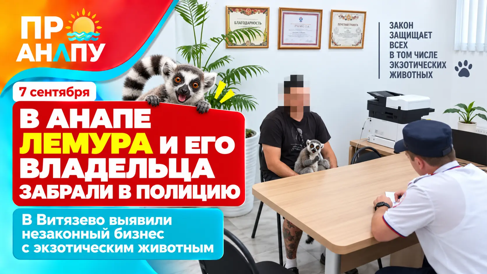 В Витязево мужчину с лемуром доставили в полицию из-за незаконного бизнеса
