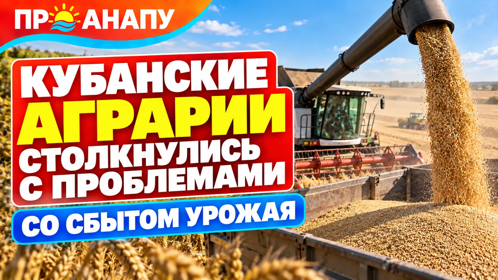 Кубанские аграрии столкнулись с проблемами со сбытом урожая