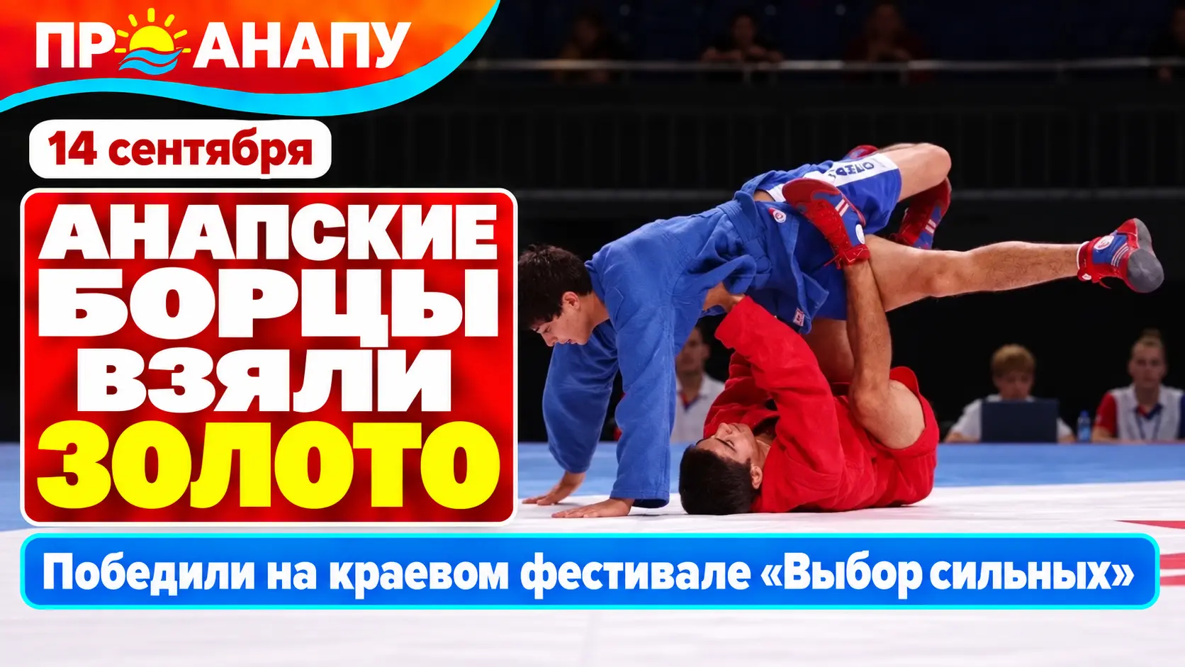 Анапские борцы завоевали золото краевого фестиваля «Выбор сильных»