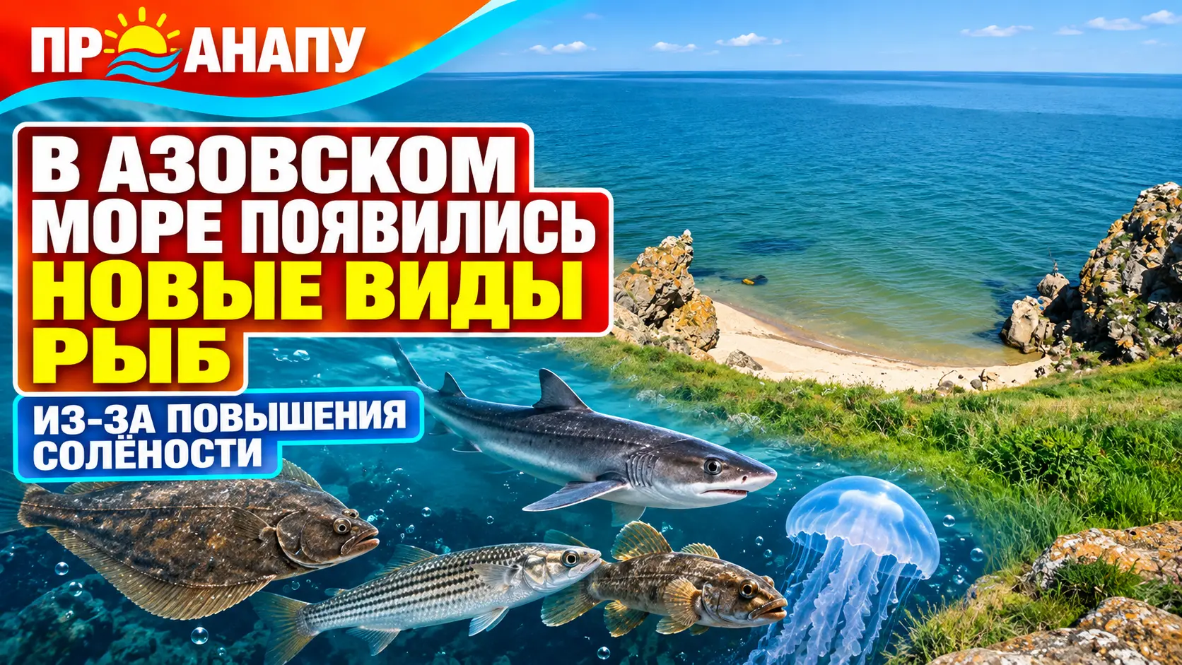 Из-за роста солёности в Азовском море появились новые виды рыб