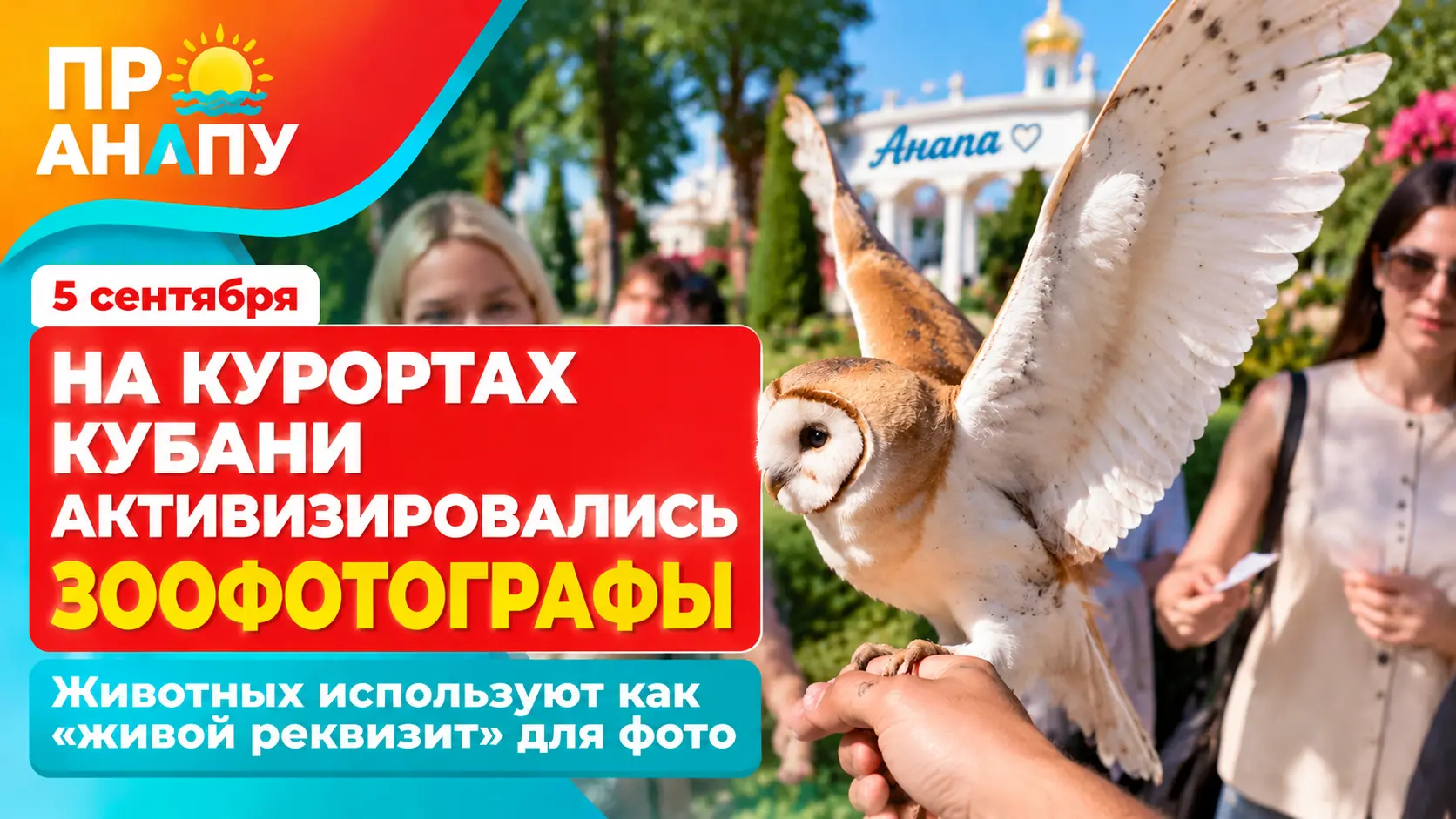 На курортах Кубани активизировались зоофотографы с «живым реквизитом»